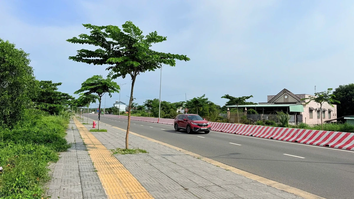 Bán đất mặt tiền Tỉnh lộ 44B Phước Hải 500m2, 3 tỷ 5 - Ảnh thu nhỏ 3