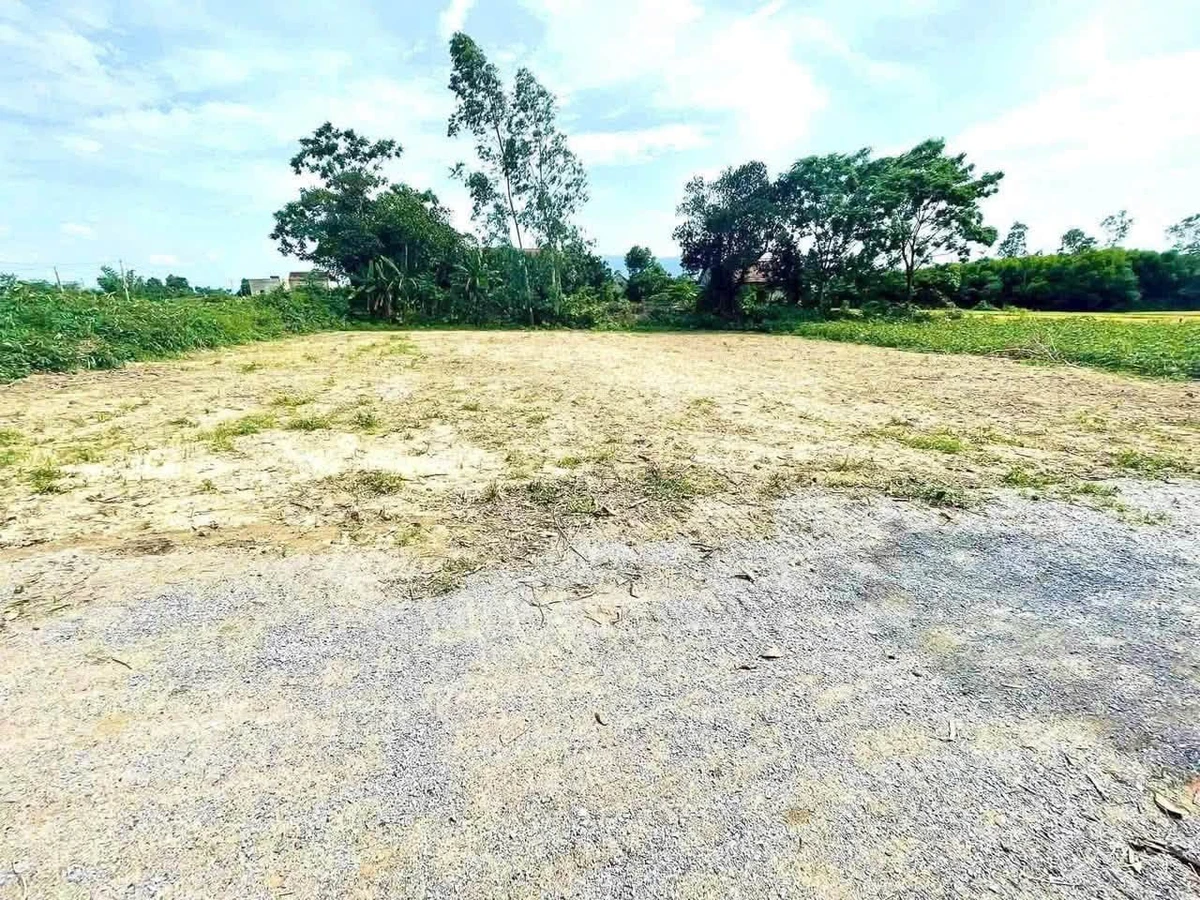 Bán đất 263m2 mặt tiền Sơn Lộc, Hồ Chí Minh - Ảnh 1