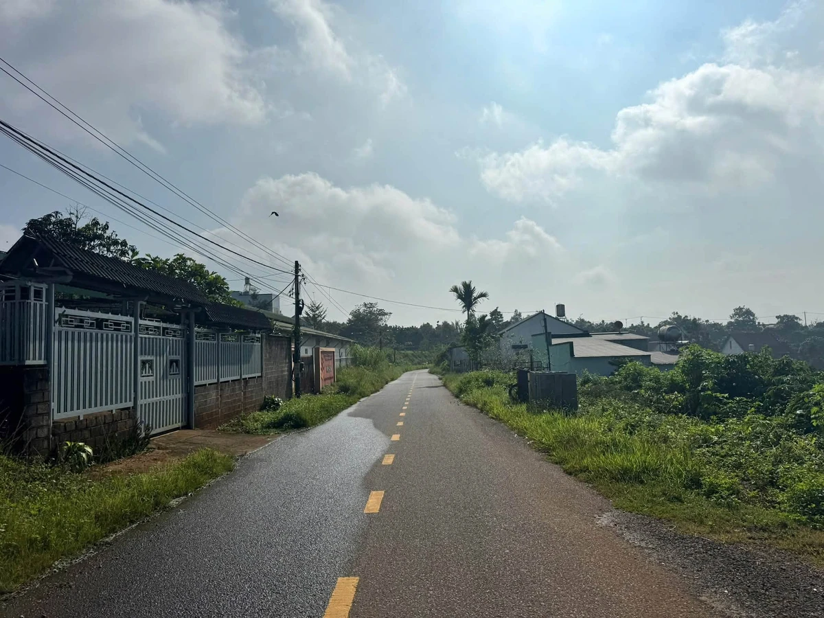 Bán đất Lý Chính Thắng, Bảo Lộc, 260m² - 1 tỷ 550 - Ảnh thu nhỏ 4