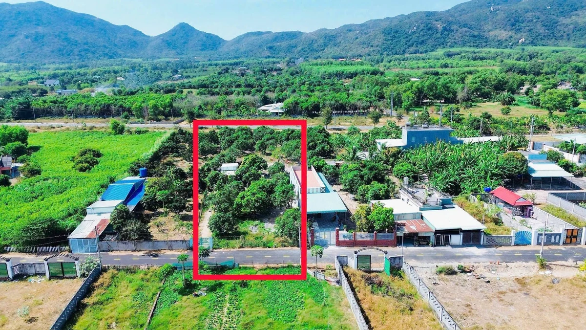 Bán vườn xoài Phước Hải 2000m2, view núi, 7.2 tỷ - Ảnh thu nhỏ 2