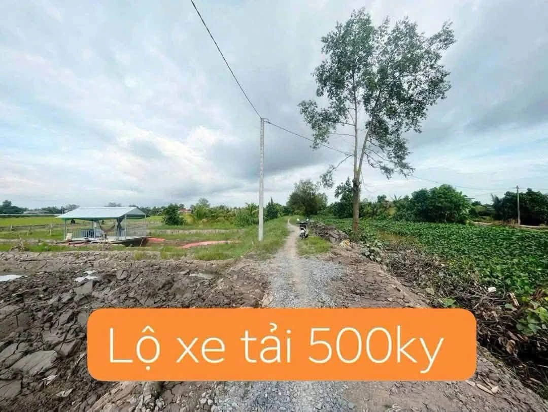 Bán đất 700m2 giá 399 triệu tại Mỹ Thuận, Vĩnh Long - Ảnh thu nhỏ 2