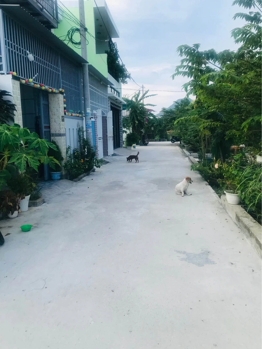 Bán đất Phú Vinh Vĩnh Thạnh 95m² view sông, 1 tỷ 500 triệu - Ảnh thu nhỏ 4