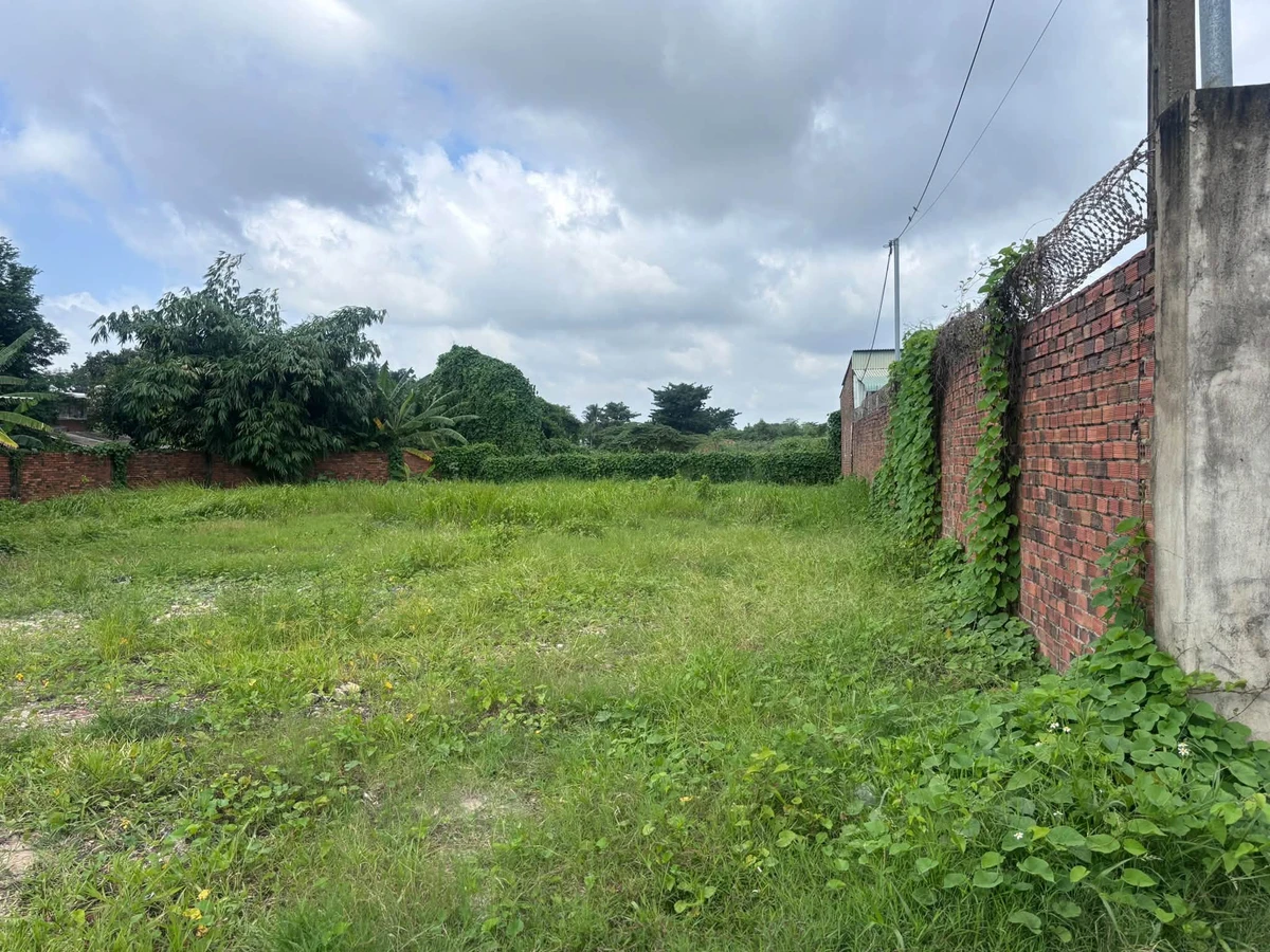 Cho thuê đất 1.000m² Tân Vạn, 6 triệu/tháng - Ảnh thu nhỏ 2