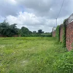 Cho thuê đất 1.000m² Tân Vạn, 6 triệu/tháng - Ảnh thu nhỏ 2