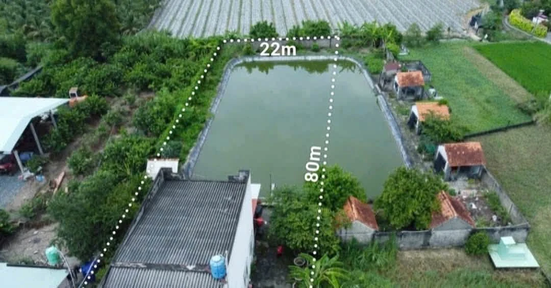 Bán nhà vườn mặt tiền Tỉnh Lộ 833B Tân Trụ 1600m2 - Ảnh thu nhỏ 2