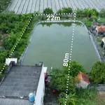Bán nhà vườn mặt tiền Tỉnh Lộ 833B Tân Trụ 1600m2 - Ảnh thu nhỏ 2