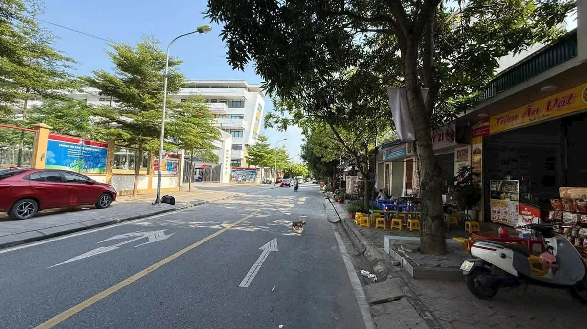 Bán lô đất mặt phố Trần Nguyên Đán 70m², 4,5 tỷ - Ảnh 1