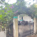 Bán nhà Khởi Nghĩa 286m² 8.5 tỷ Phường 10 Quận 12 - Ảnh thu nhỏ 3