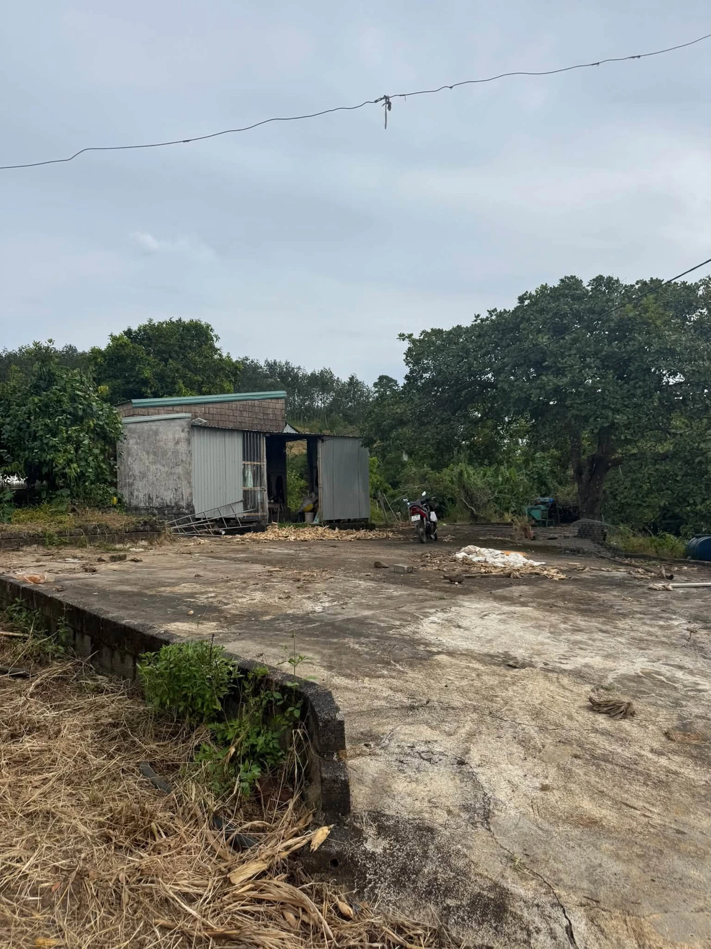 Bán đất 2 hectare có cây kinh doanh tại Eahleo - Ảnh 1