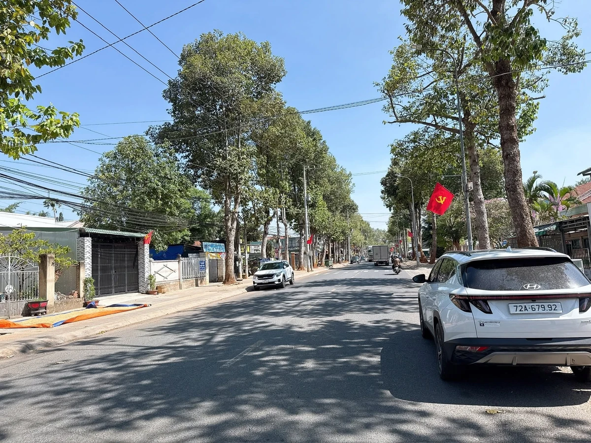 Bán lô biệt thự mặt tiền kinh doanh Hương Lộ 2, 100m2 - Ảnh thu nhỏ 3