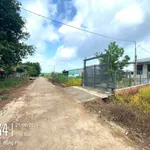 Bán đất nền thổ cư 200m² giá 450 triệu Đồng Phú - Ảnh thu nhỏ 2
