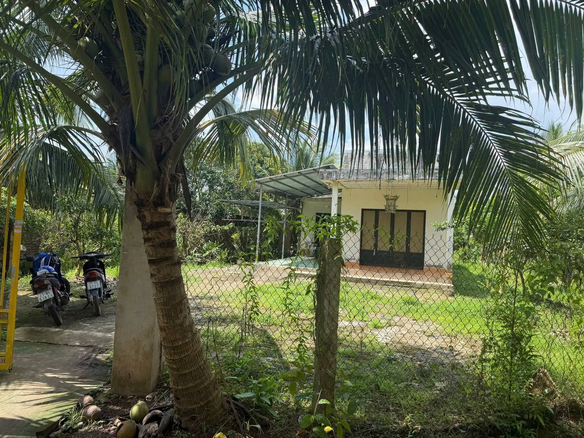 Bán nhà và đất 1000m² xã Tâm Thạch Củ Chi 750 triệu - Ảnh thu nhỏ 2