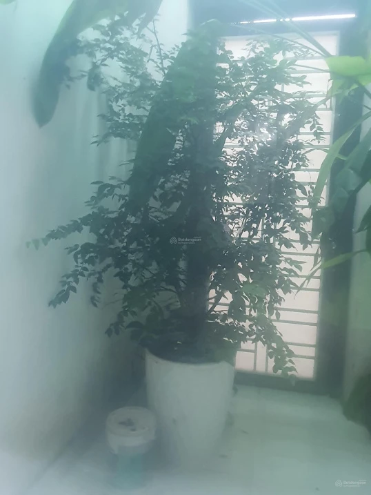 Bán nhà chính chủ khu đô thị Kỳ Đồng - Ảnh thu nhỏ 2
