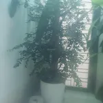 Bán nhà chính chủ khu đô thị Kỳ Đồng - Ảnh thu nhỏ 2