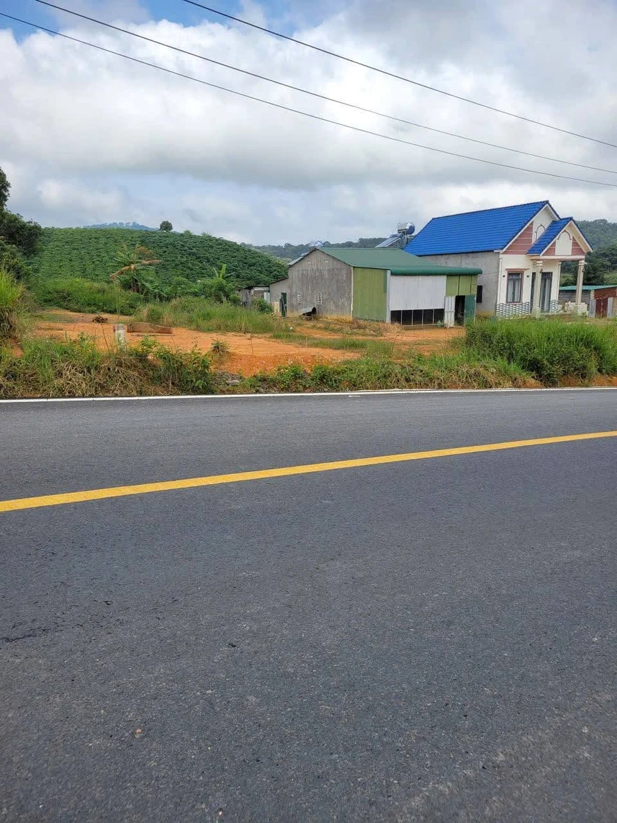 Bán đất Cần Giờ 100m², 1 tỷ 650 triệu - Ảnh thu nhỏ 2