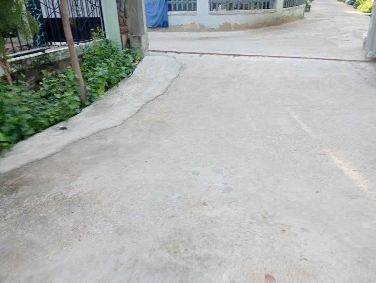 Bán đất + nhà Long Bình 399m² 1 tỷ 950 - Ảnh 1