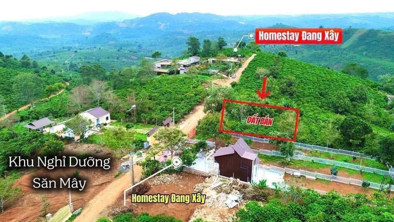 Bán đất Di Linh Lâm Đồng 408m2 giá 849 triệu