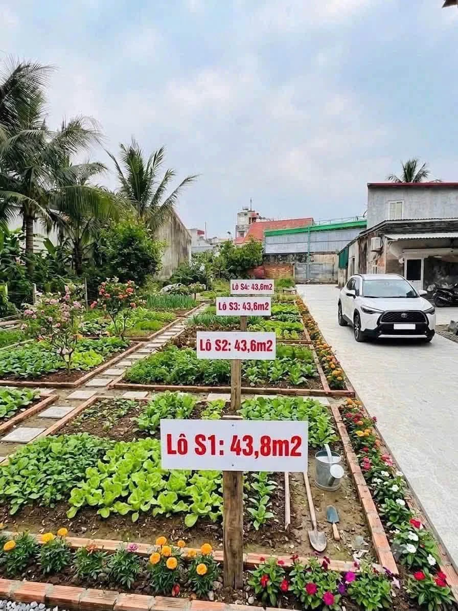 Bán đất Đông Phong Hải Phòng 43,6m² từ 1 tỷ - Ảnh thu nhỏ 2