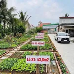 Bán đất Đông Phong Hải Phòng 43,6m² từ 1 tỷ - Ảnh thu nhỏ 2