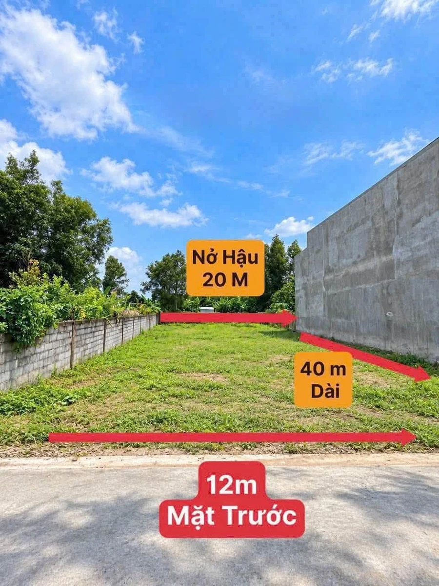 Bán đất vườn 600m² tại Tân Triều, Biên Hòa, 6 triệu/m² - Ảnh 1