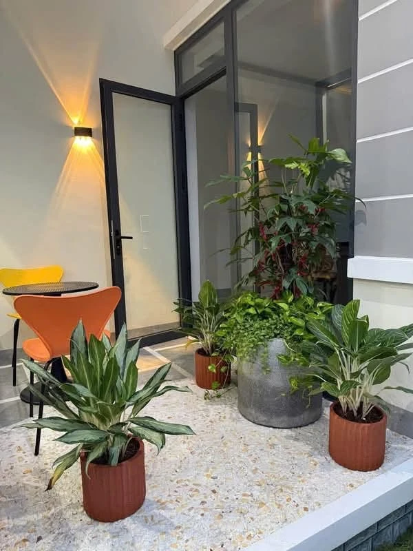 Nhà mặt tiền lộ xe 16 chỗ Bến Tre 365.8m² 2.7 tỷ - Ảnh thu nhỏ 2