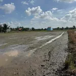 Bán 1000m² đất lúa Bến Lức Long An, mặt tiền kênh - Ảnh thu nhỏ 3