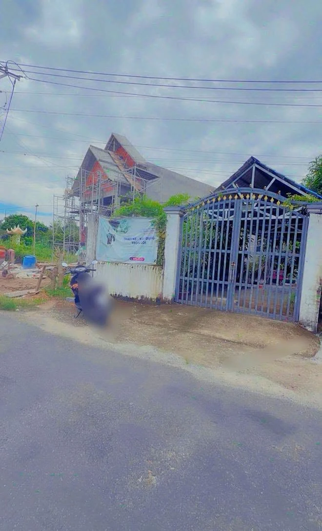 Bán mảnh vườn cây trái 300m2 Nguyễn Văn Lang, Tân Thành - Ảnh thu nhỏ 3
