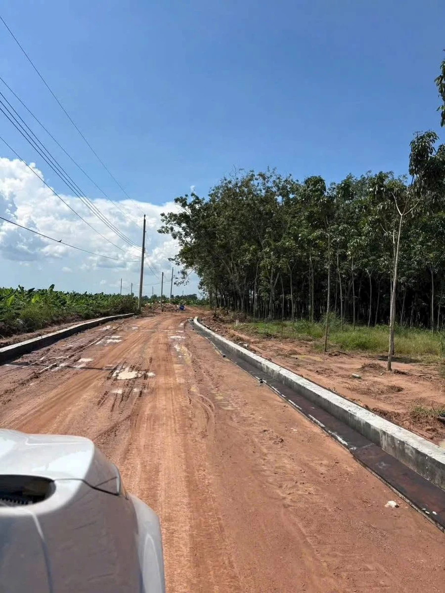 Bán đất view hồ Dầu Tiếng 1300m2 Bình Dương - Ảnh thu nhỏ 2