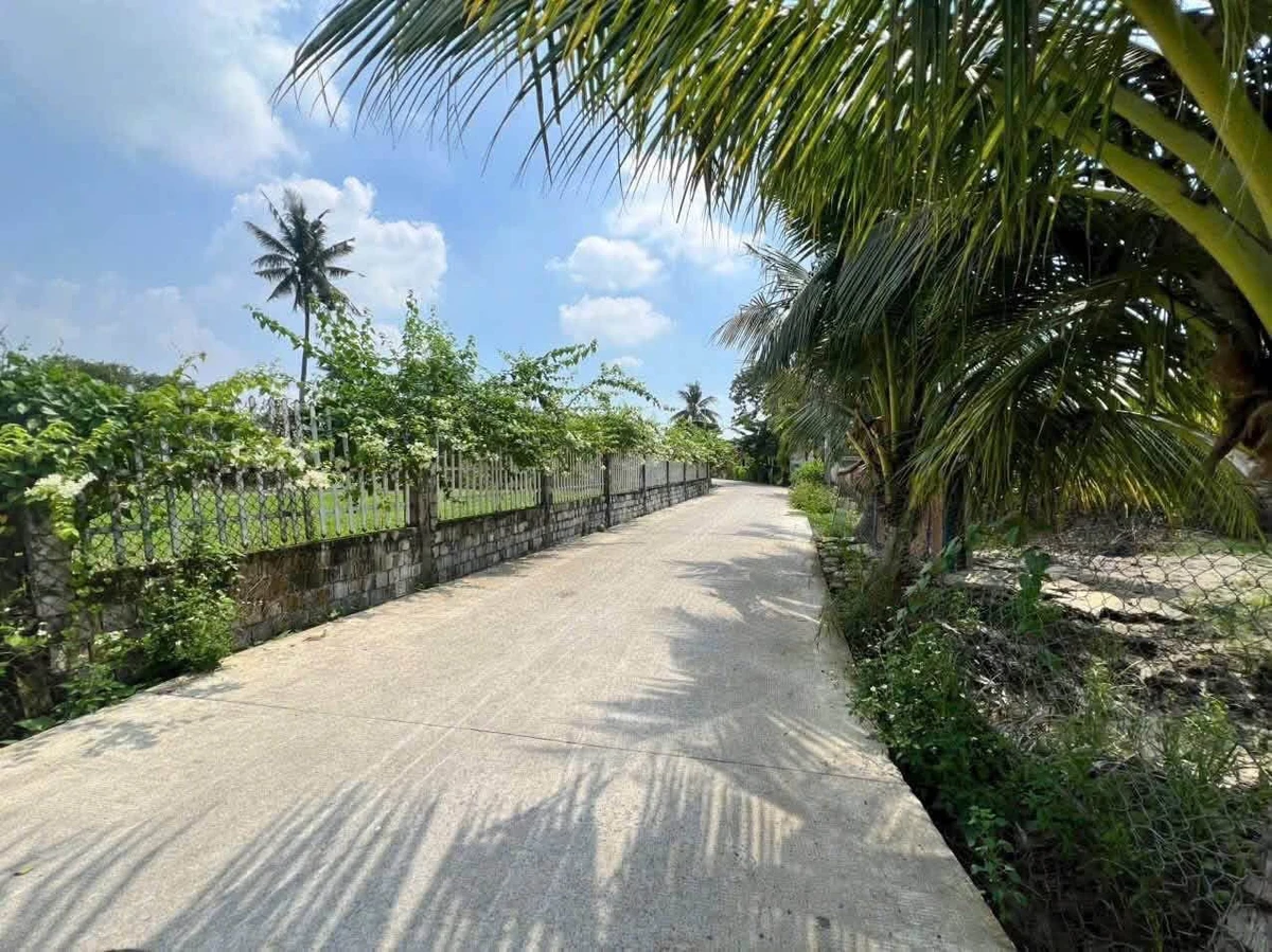 Bán đất thổ cư 1.488m2 mặt tiền 32m gần đường Vành Đai, Khánh Hậu, Tân An - Ảnh thu nhỏ 3