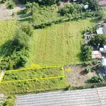 Bán đất 240m² 6x40m sổ hồng riêng Truông Mít Tây Ninh 330 triệu - Ảnh thu nhỏ 4