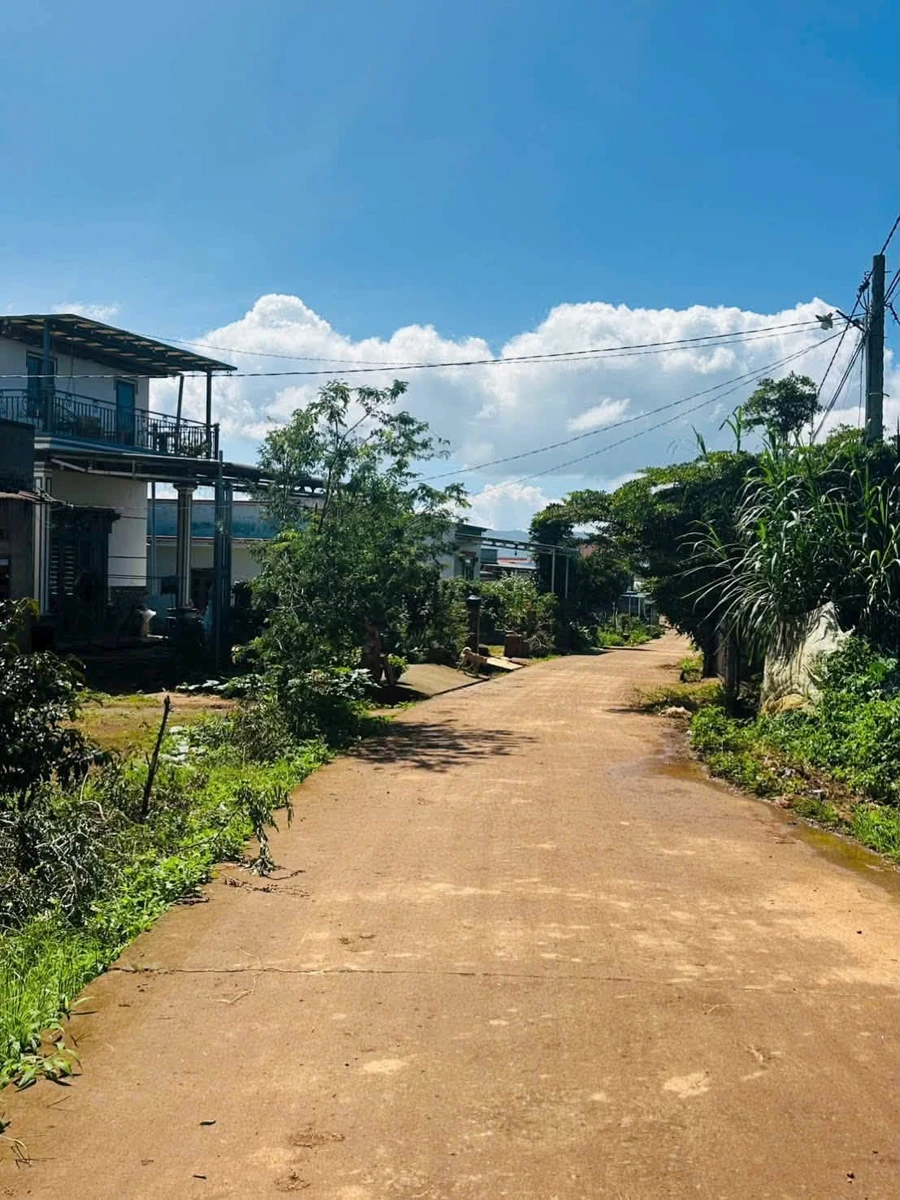 Bán đất 300m² tại Đơn Dương, Lâm Đồng, chỉ 799 triệu - Ảnh thu nhỏ 3