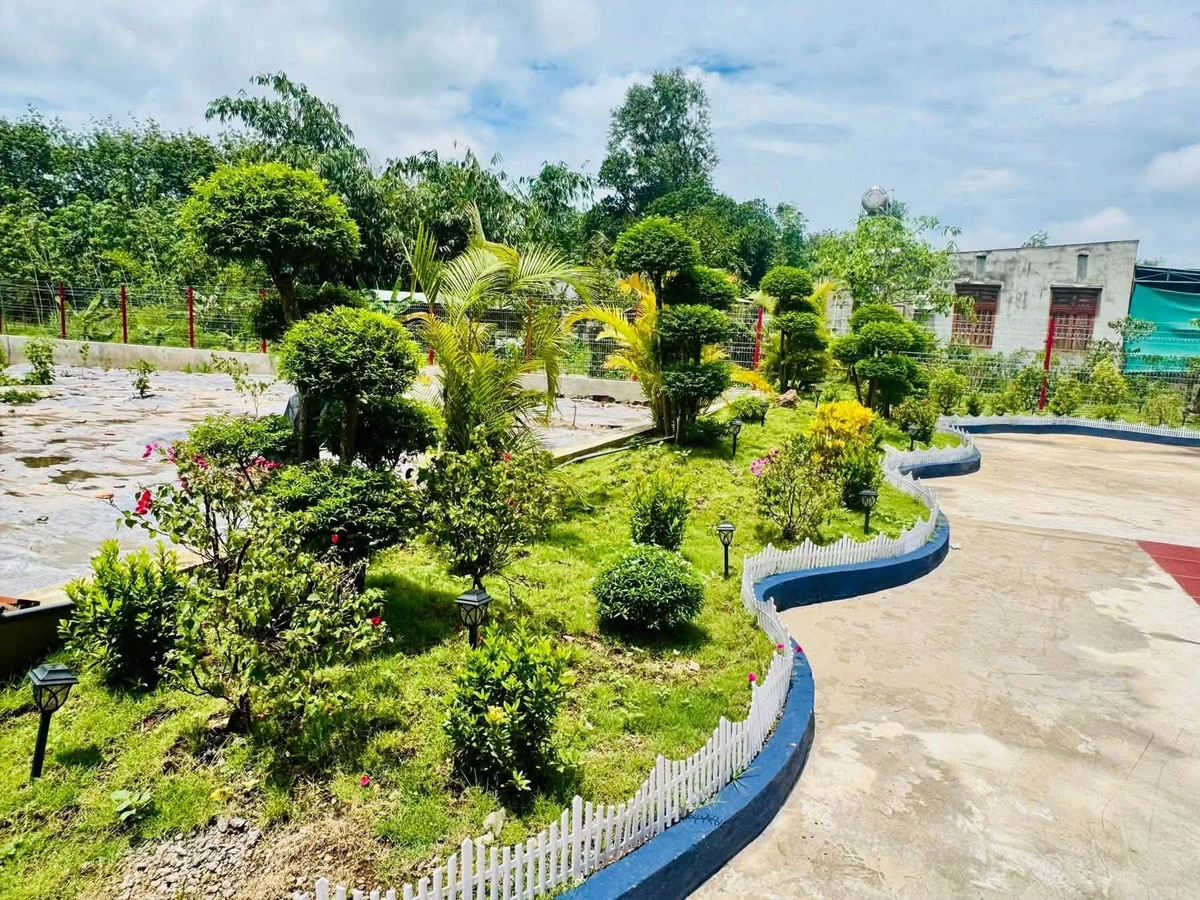 Bán nhà vườn 1.800m² Phú Giáo 3 tỷ 500 triệu - Ảnh thu nhỏ 5