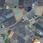 Bán đất 4000m² Hồ Than Thở, Đà Lạt 26,9 tỷ - Ảnh thu nhỏ 4