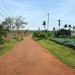 Bán đất 150m2 gần hồ Ea Kao, Buôn Ma Thuột giá 699 triệu có sổ riêng - Ảnh thu nhỏ 4