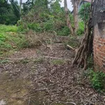 Đất giữa thị trấn Kép, Lạng Giang. 638m2 - Full thổ cư. Giá 3,5 tỷ - Ảnh thu nhỏ 3