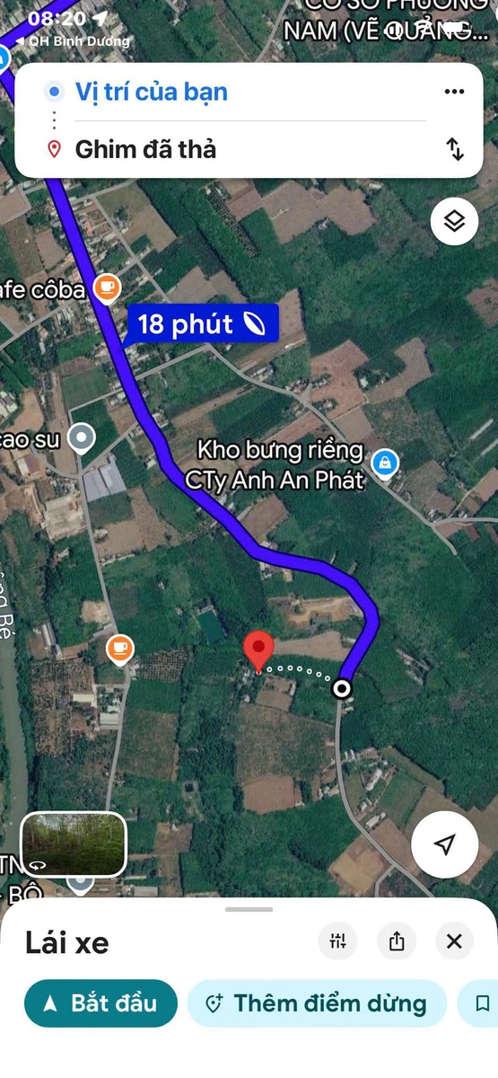 Bán đất cao su 2 mặt tiền 18.054 m², Phú Giáo, Bình Dương - Ảnh 1
