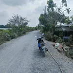 Bán đất thổ vườn mặt tiền sông Vàm Cỏ Đông, 2.363m2, giá 4 tỷ, xã Thạnh Lợi, Tây Ninh - Ảnh thu nhỏ 3