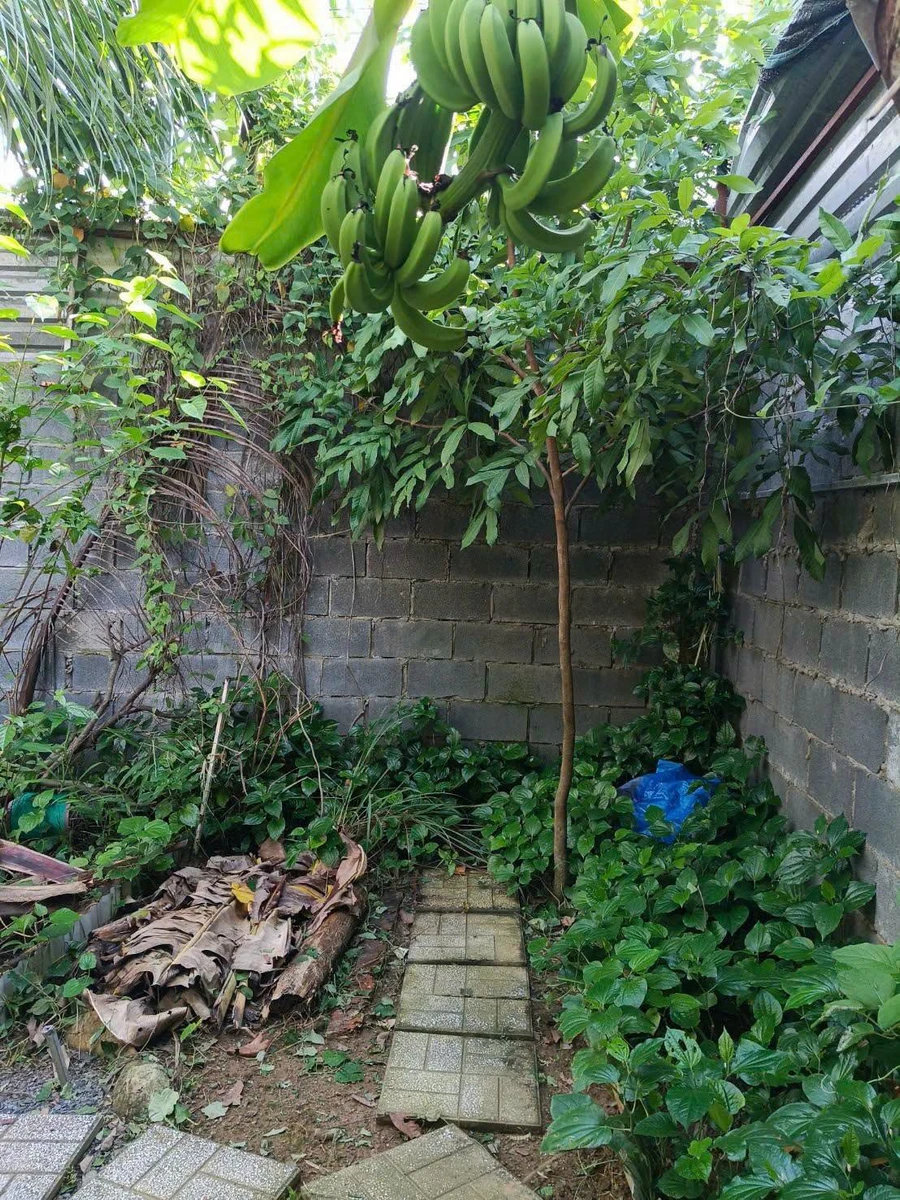 Bán đất Phường Bửu Long 300m2 1 tỷ 650 triệu - Ảnh thu nhỏ 5