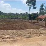 Bán đất 145m² Thôn 4, Ea Kao, Đắk Lắk, giá 950 triệu/lô - Ảnh thu nhỏ 1