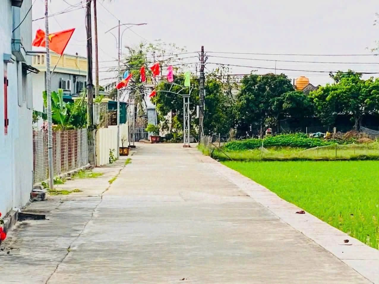 Bán đất 160m² Kiến Xương Thái Bình 300 triệu - Ảnh 1