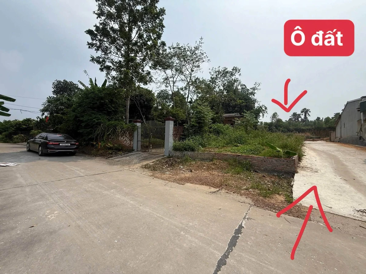 Bán đất 101m2 có 80 thổ cư 360 triệu Tiên Kiên - Ảnh thu nhỏ 2