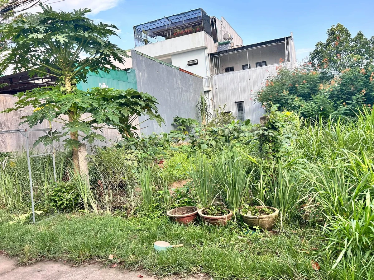 Bán lô đất hẻm Lê Quý Đôn, 7x19m, 1,69 tỷ, Quận 12 - Ảnh thu nhỏ 5