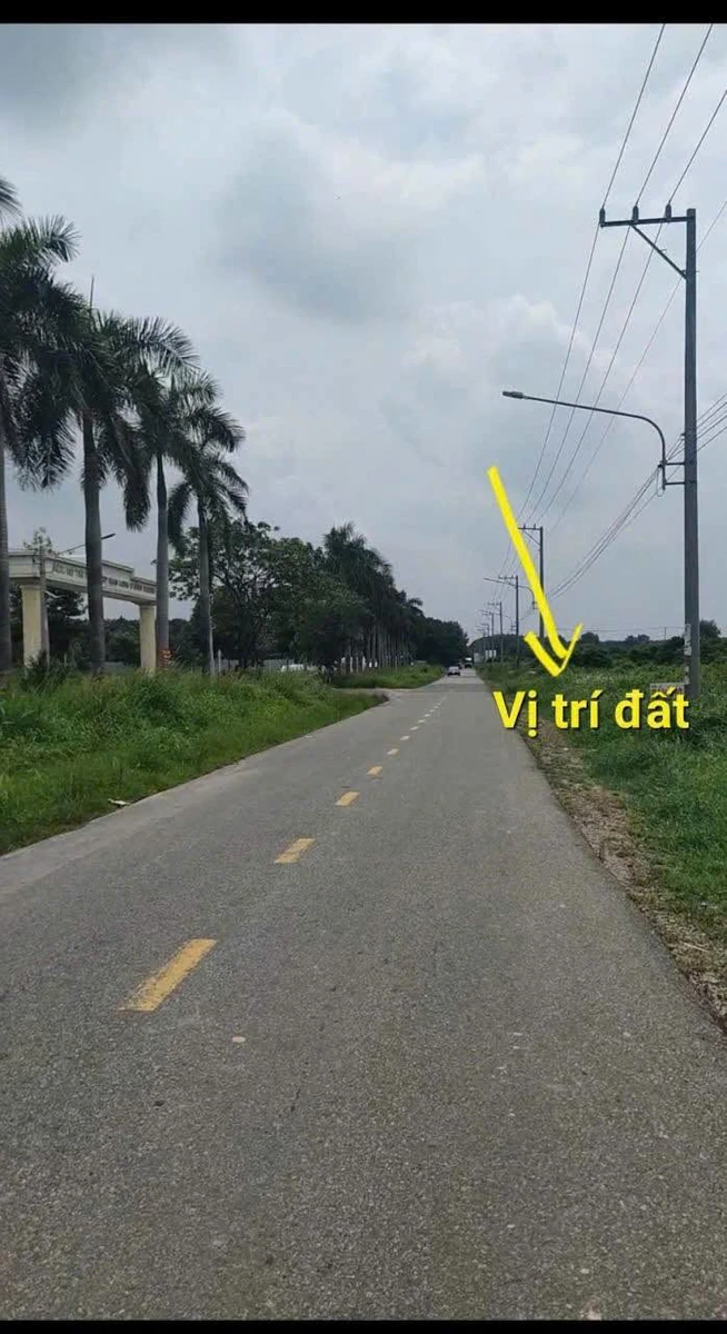 Bán đất Phường Long Nguyên, Bàu Bàng, Bình Dương 1,2 tỷ - Ảnh thu nhỏ 2