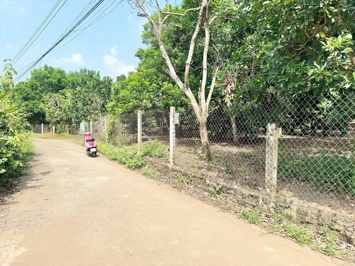 Bán 2 nền đất 4.5x35m gần trường Bảo Vinh, Hóc Môn, 1.17 tỷ - Ảnh thu nhỏ 3