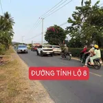Bán lô góc 306,6m² mặt tiền Tỉnh lộ 8, Diên Lâm, 690 triệu - Ảnh thu nhỏ 1