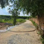 Bán đất thổ cư 81m2 sổ riêng gần đường Đa Lộc, Bình Lợi, Bình Chánh, giá 830 triệu - Ảnh thu nhỏ 1