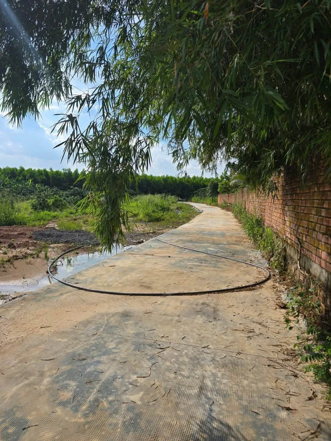 Bán đất thổ cư 81m2 sổ riêng gần đường Đa Lộc, Bình Lợi, Bình Chánh, giá 830 triệu - Ảnh 1