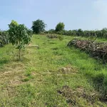 Bán đất vườn 839m² Hàm Liêm gần Phan Thiết, sổ hồng, 420 triệu - Ảnh thu nhỏ 5