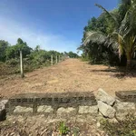 Bán đất tách thôn 1 Diên Đồng Khánh Hòa 152.7m² 499 triệu - Ảnh thu nhỏ 4