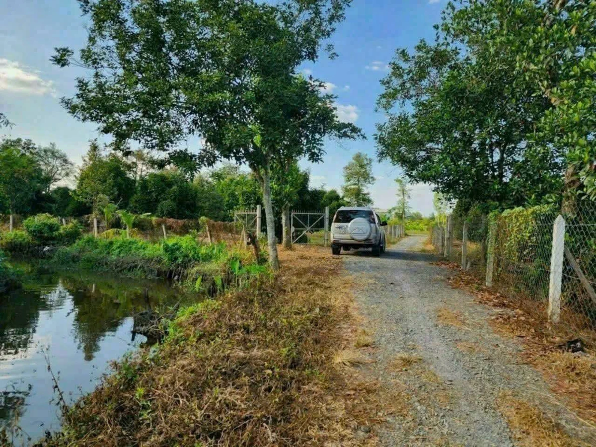 Bán đất vườn măng cụt Cần Giờ 5.888m2 giá 14,7 tỷ - Ảnh thu nhỏ 3